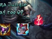 ザイラのビルドガイド